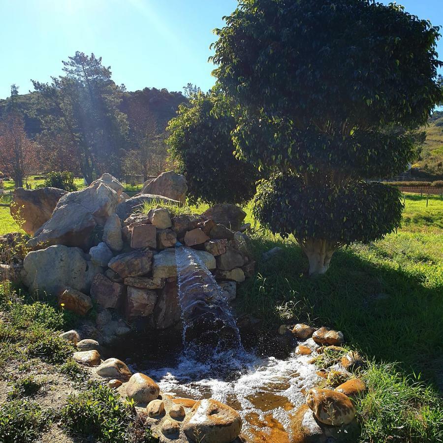 Topiary Wine Estate & Cottages ฟรันเชิค ภายนอก รูปภาพ